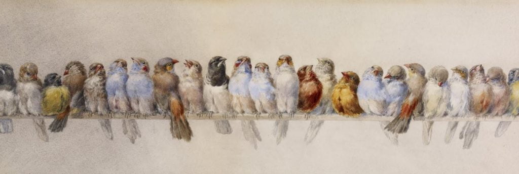 جمع پرندگان اثر هکتور جاکوملی 